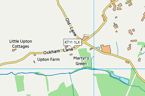 KT11 1LX map - OS VectorMap District (Ordnance Survey)