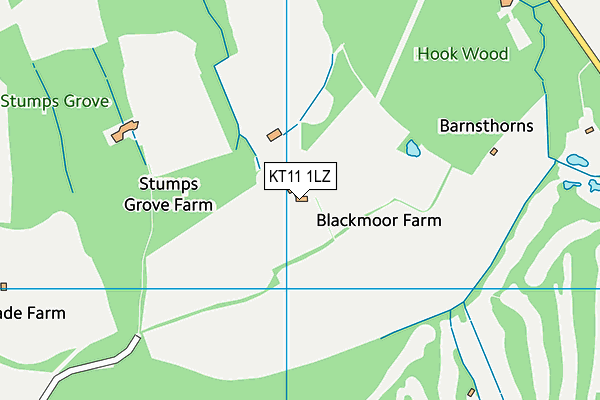 KT11 1LZ map - OS VectorMap District (Ordnance Survey)