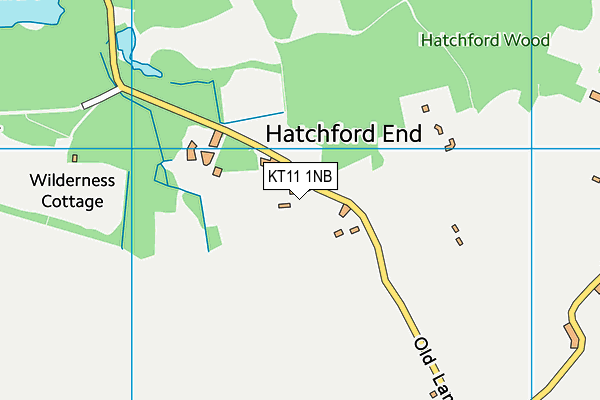 KT11 1NB map - OS VectorMap District (Ordnance Survey)