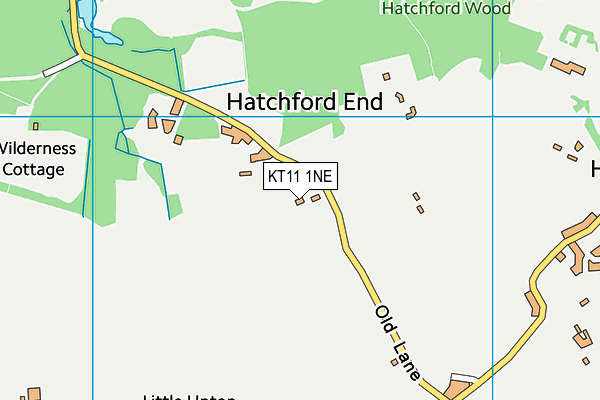 KT11 1NE map - OS VectorMap District (Ordnance Survey)