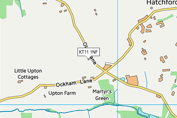 KT11 1NF map - OS VectorMap District (Ordnance Survey)