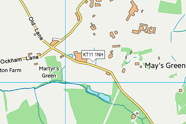 KT11 1NH map - OS VectorMap District (Ordnance Survey)