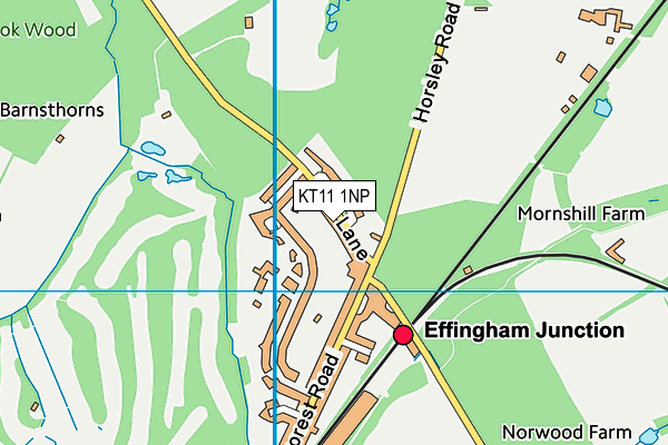 KT11 1NP map - OS VectorMap District (Ordnance Survey)