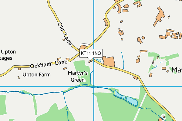 KT11 1NQ map - OS VectorMap District (Ordnance Survey)