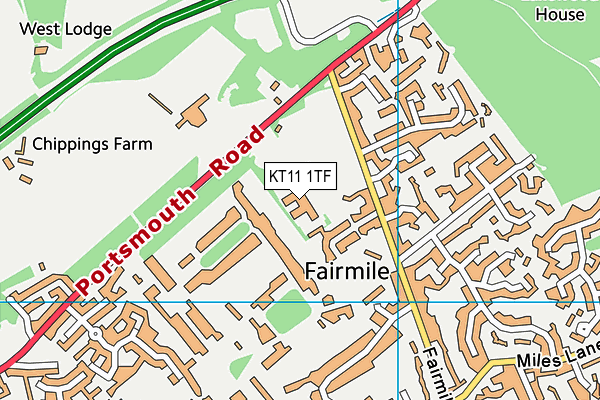 Cobham Free School map (KT11 1TF) - OS VectorMap District (Ordnance Survey)