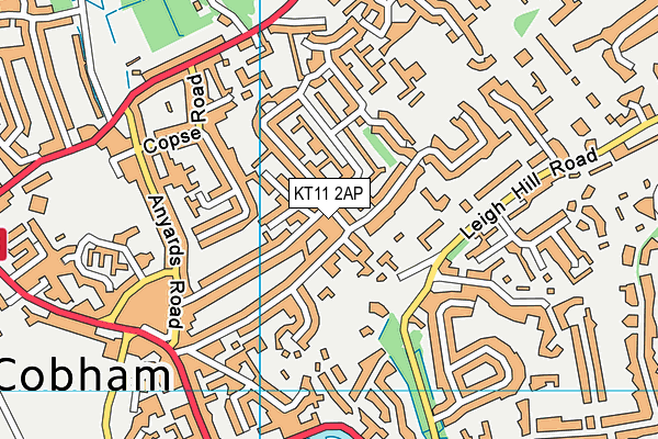 KT11 2AP map - OS VectorMap District (Ordnance Survey)