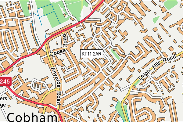 KT11 2AR map - OS VectorMap District (Ordnance Survey)