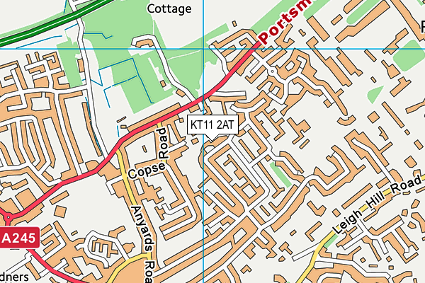 KT11 2AT map - OS VectorMap District (Ordnance Survey)