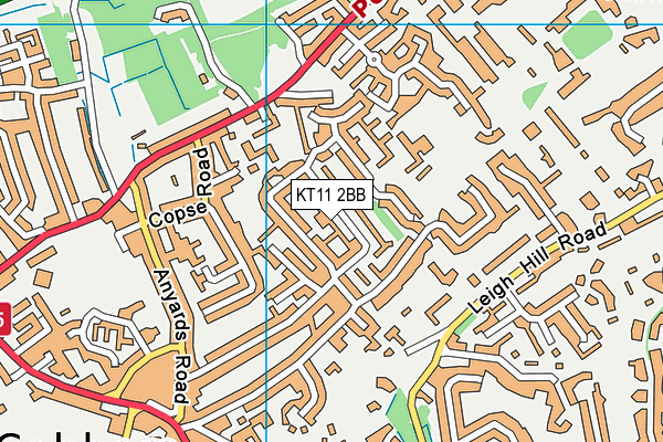 KT11 2BB map - OS VectorMap District (Ordnance Survey)