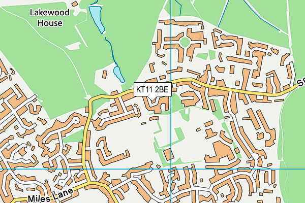 KT11 2BE map - OS VectorMap District (Ordnance Survey)