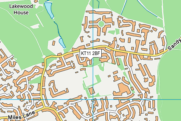 KT11 2BF map - OS VectorMap District (Ordnance Survey)