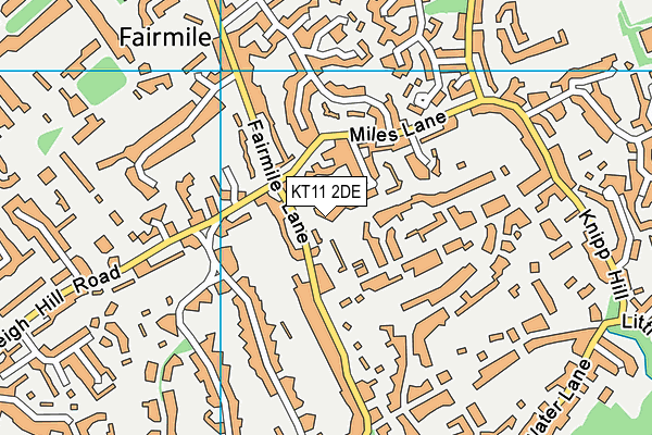KT11 2DE map - OS VectorMap District (Ordnance Survey)