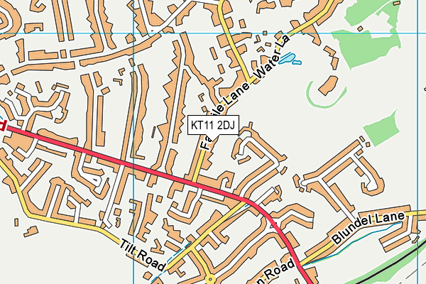 KT11 2DJ map - OS VectorMap District (Ordnance Survey)