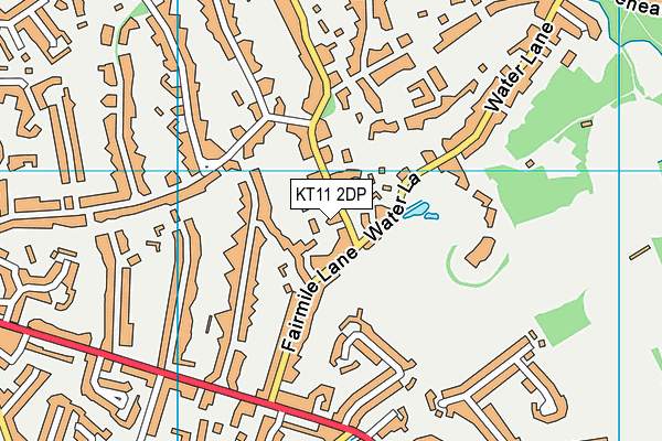KT11 2DP map - OS VectorMap District (Ordnance Survey)