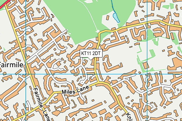 KT11 2DT map - OS VectorMap District (Ordnance Survey)