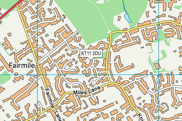 KT11 2DU map - OS VectorMap District (Ordnance Survey)