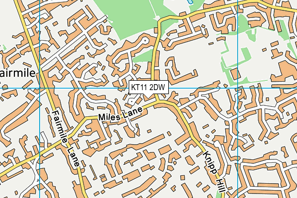 KT11 2DW map - OS VectorMap District (Ordnance Survey)
