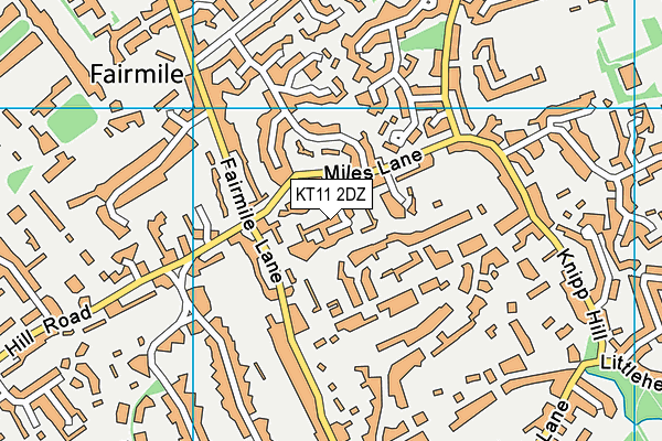 KT11 2DZ map - OS VectorMap District (Ordnance Survey)