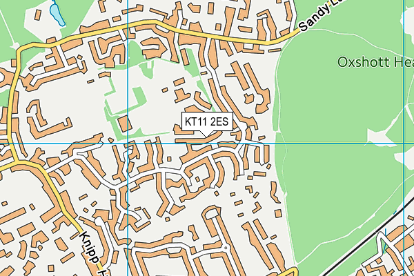 Reeds School map (KT11 2ES) - OS VectorMap District (Ordnance Survey)