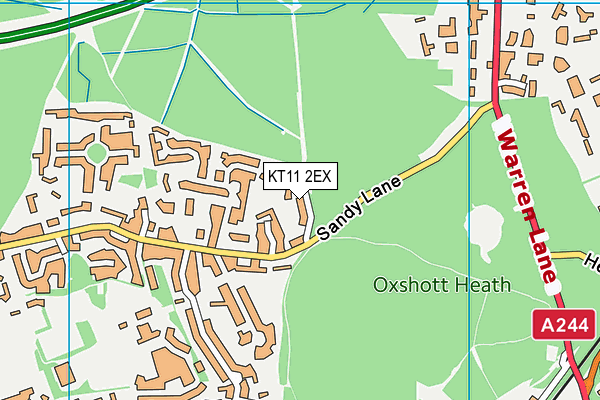 KT11 2EX map - OS VectorMap District (Ordnance Survey)