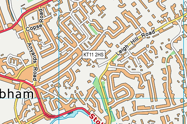 KT11 2HS map - OS VectorMap District (Ordnance Survey)