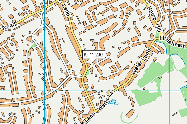 KT11 2JG map - OS VectorMap District (Ordnance Survey)