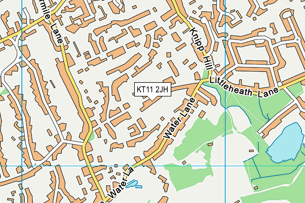 KT11 2JH map - OS VectorMap District (Ordnance Survey)