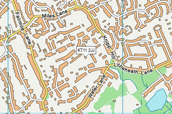 KT11 2JJ map - OS VectorMap District (Ordnance Survey)