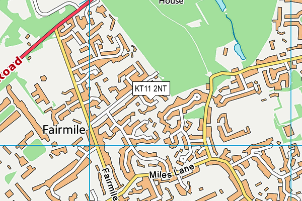 KT11 2NT map - OS VectorMap District (Ordnance Survey)