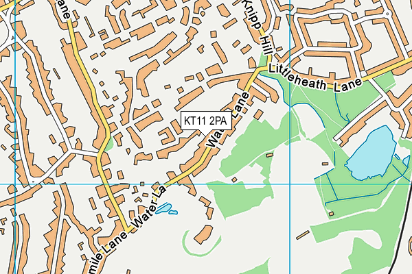 KT11 2PA map - OS VectorMap District (Ordnance Survey)