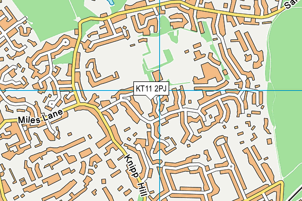 KT11 2PJ map - OS VectorMap District (Ordnance Survey)