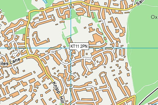 KT11 2PN map - OS VectorMap District (Ordnance Survey)