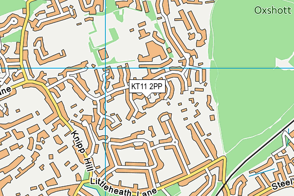 KT11 2PP map - OS VectorMap District (Ordnance Survey)