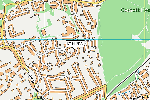 KT11 2PS map - OS VectorMap District (Ordnance Survey)