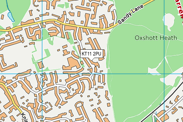 KT11 2PU map - OS VectorMap District (Ordnance Survey)