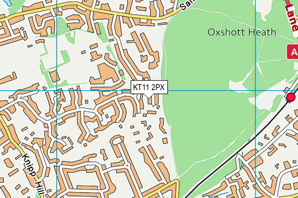 KT11 2PX map - OS VectorMap District (Ordnance Survey)