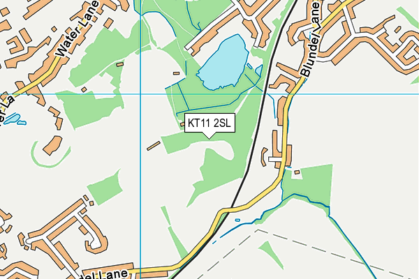 KT11 2SL map - OS VectorMap District (Ordnance Survey)