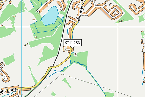 KT11 2SN map - OS VectorMap District (Ordnance Survey)
