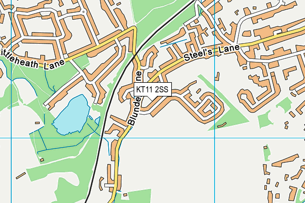 KT11 2SS map - OS VectorMap District (Ordnance Survey)