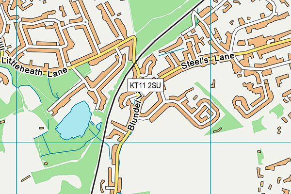 KT11 2SU map - OS VectorMap District (Ordnance Survey)