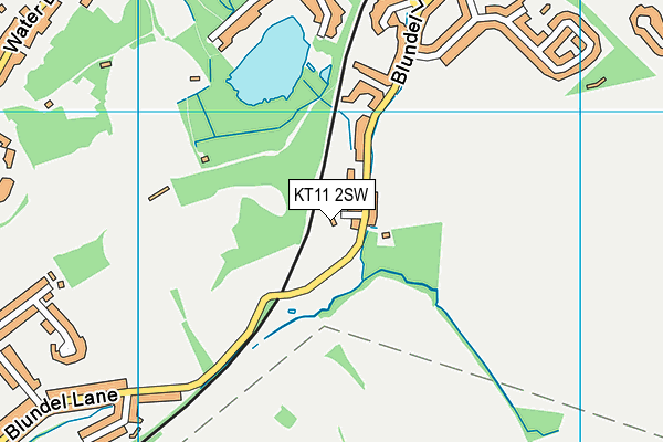 KT11 2SW map - OS VectorMap District (Ordnance Survey)