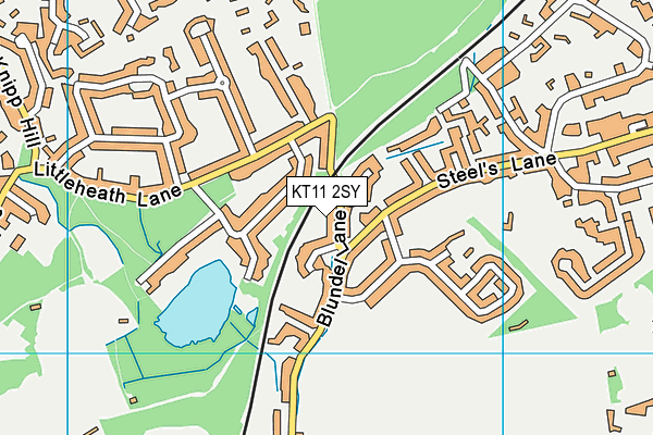 KT11 2SY map - OS VectorMap District (Ordnance Survey)