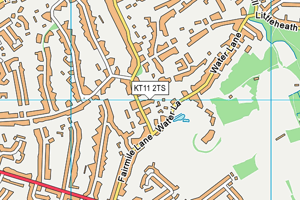 KT11 2TS map - OS VectorMap District (Ordnance Survey)