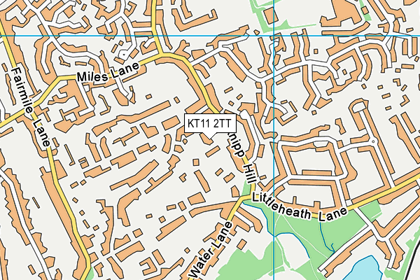 KT11 2TT map - OS VectorMap District (Ordnance Survey)