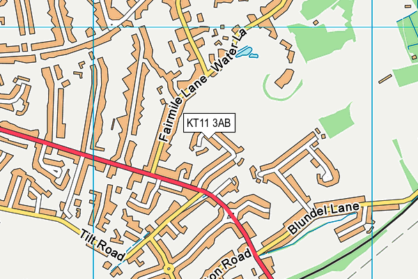 KT11 3AB map - OS VectorMap District (Ordnance Survey)