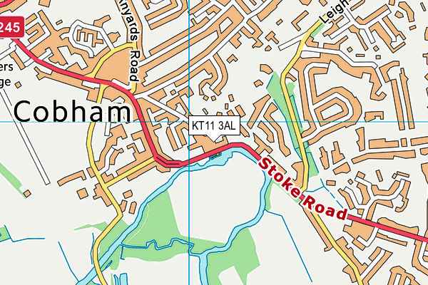 KT11 3AL map - OS VectorMap District (Ordnance Survey)