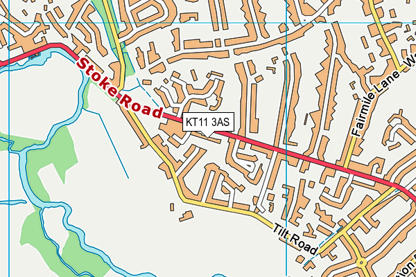 KT11 3AS map - OS VectorMap District (Ordnance Survey)