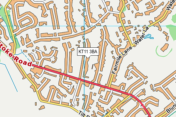 KT11 3BA map - OS VectorMap District (Ordnance Survey)