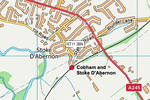 Map of COBHAM DENTAL LIMITED at district scale