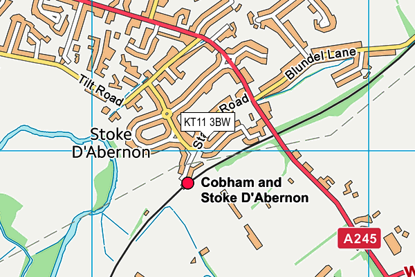Map of COBHAM STATION CARS LTD at district scale